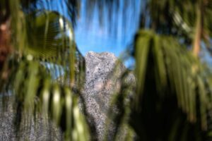 Mountain view - Duplex Penthouse in Puente Romano resort, Marbella - Drago 32 53