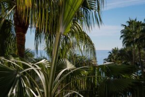 Duplex Penthouse in Puente Romano resort, Marbella - Drago 32