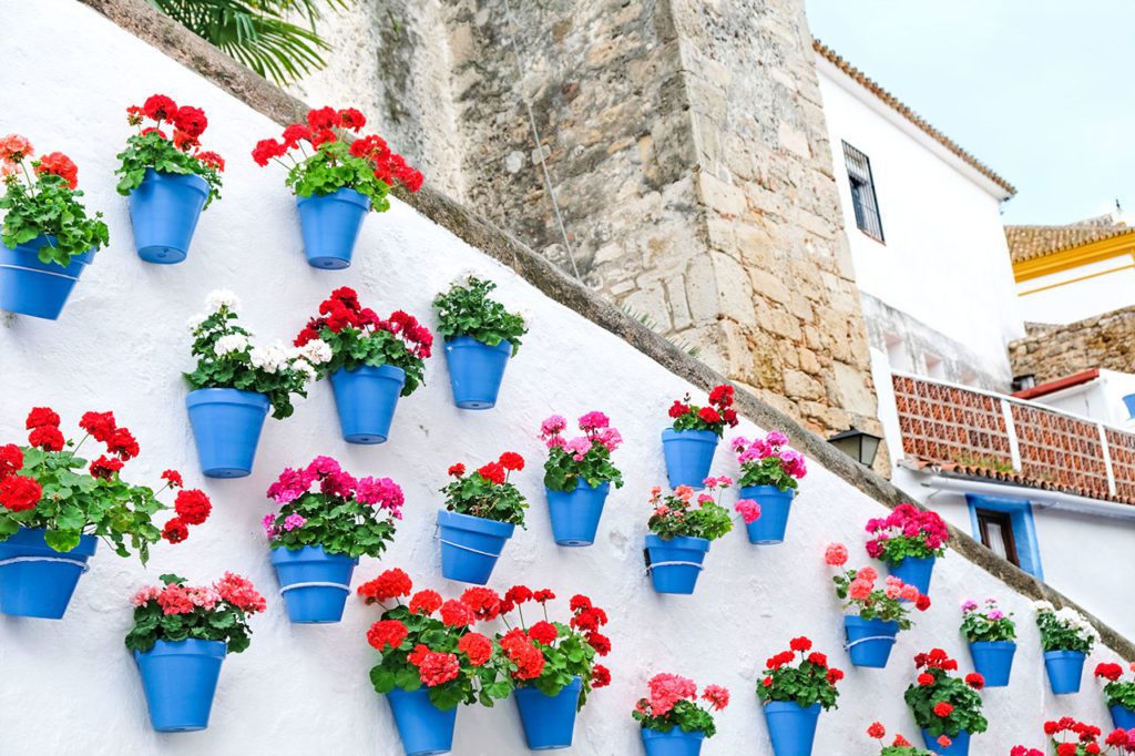 The colour of Marbella - Blue flower pots in Old town Marbella