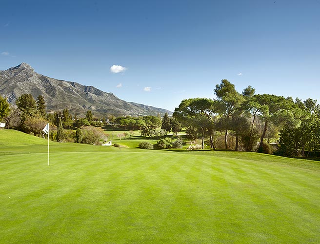 Le meilleur terrain pour “les veuves du golf” à Marbella: Aloha Golf Club