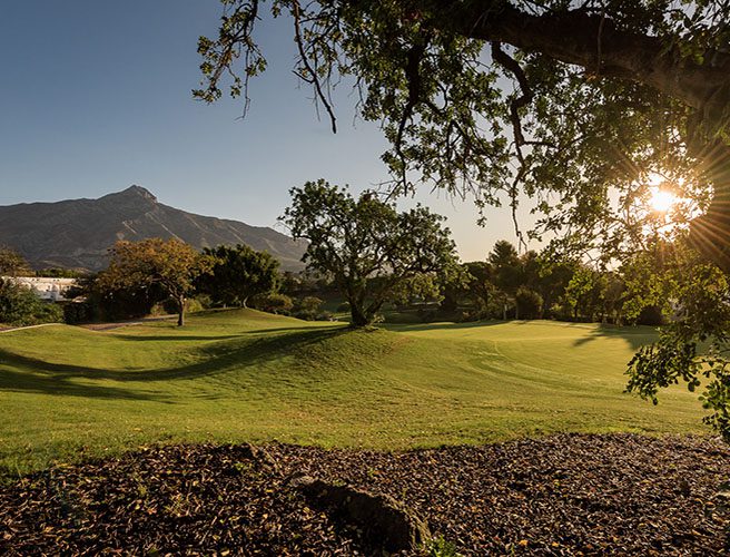 Le meilleur terrain pour “les veuves du golf” à Marbella: Aloha Golf Club