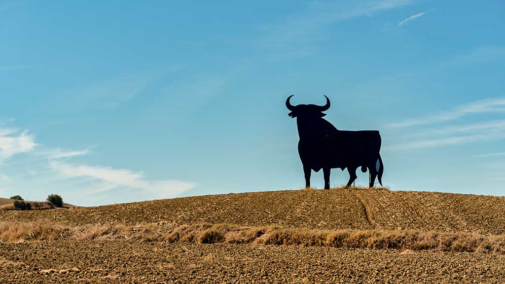Osborne Bull, Spain