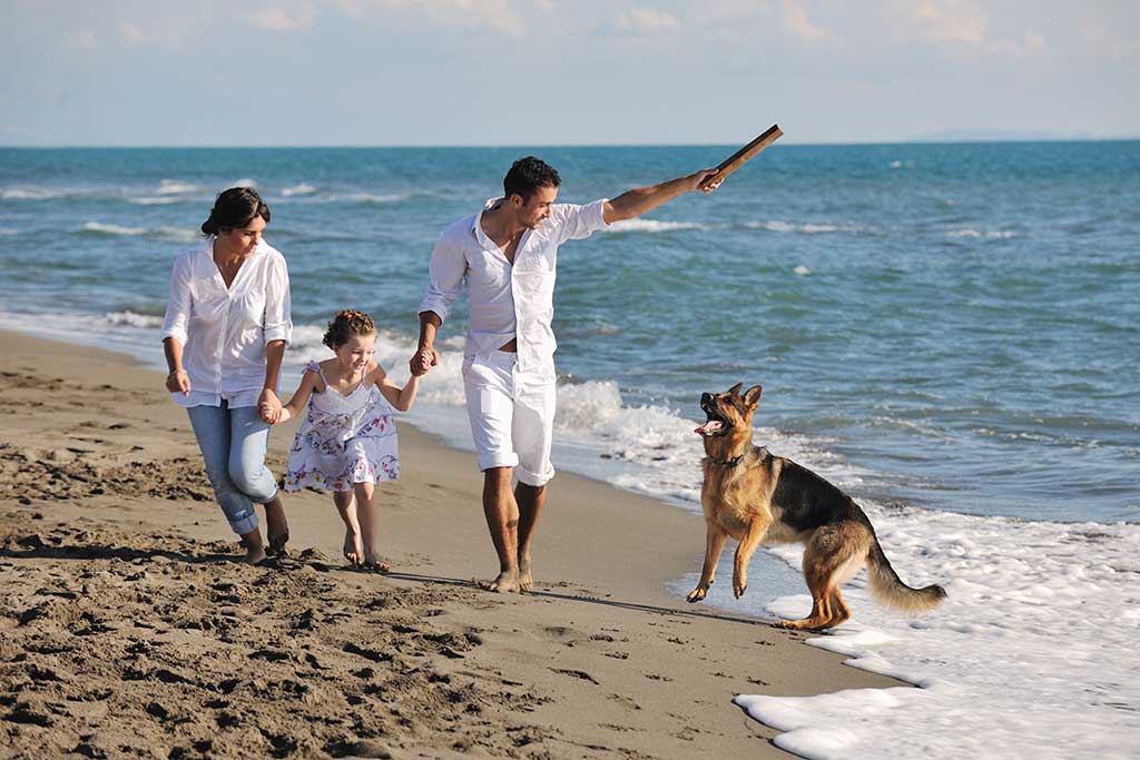 Pourquoi emmener votre animal de compagnie en vacances à Marbella est une bonne idée