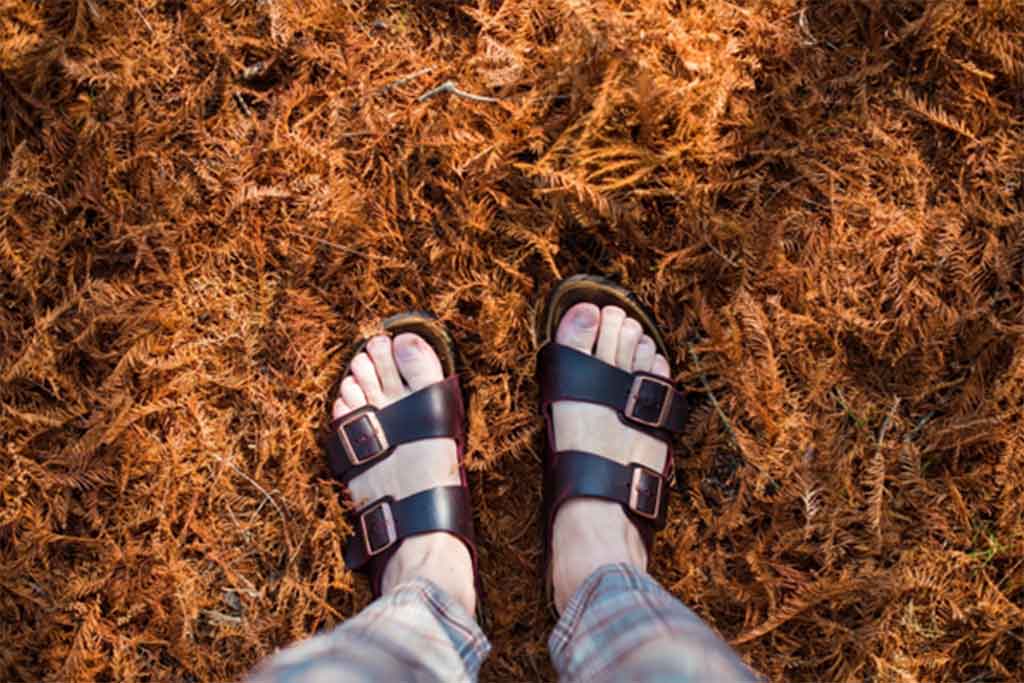 Man sandals summer