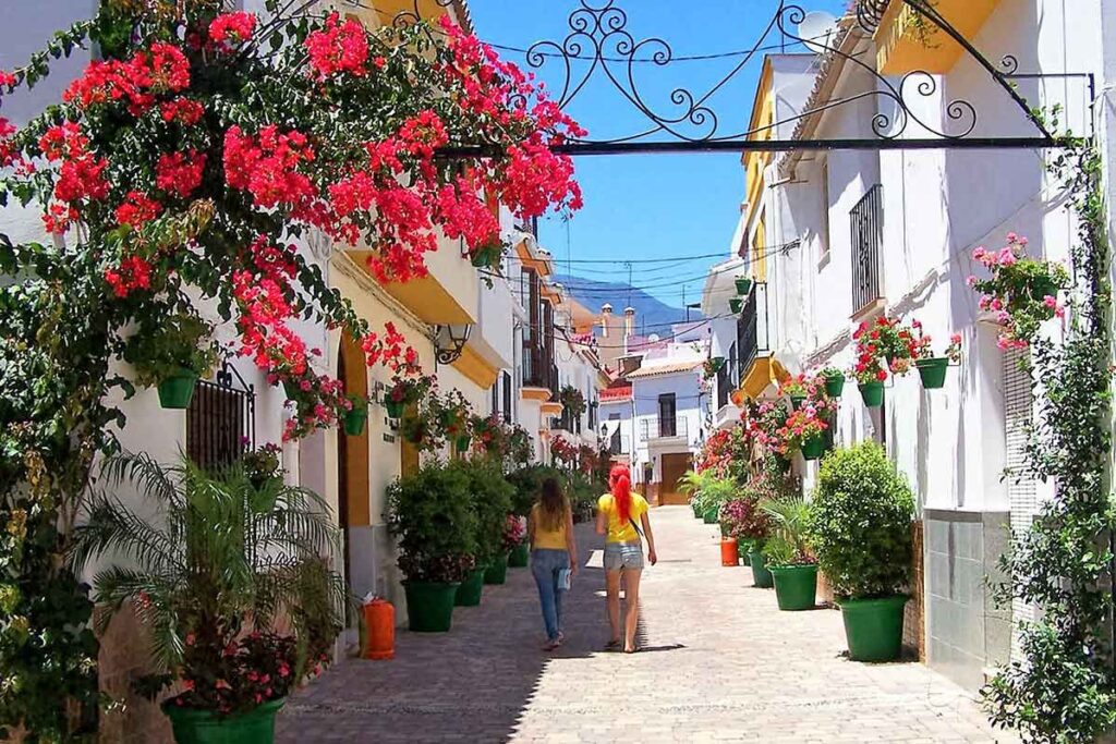 calle florida estepona garden of the costa del sol