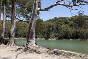 duplex penthouse with panoramic sea views in marbella (35)