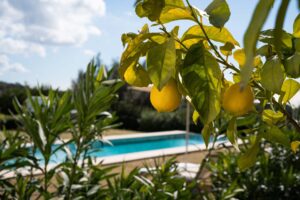 property, luxury rentals