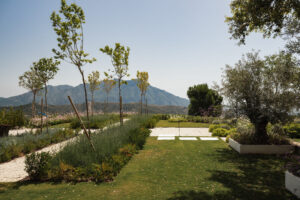 Zagaleta View